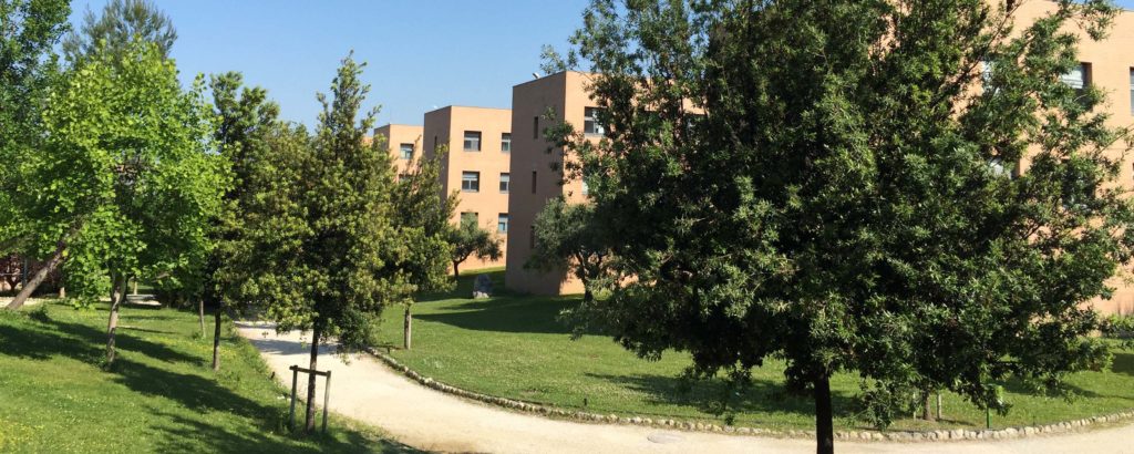 immagine campus di Chieti